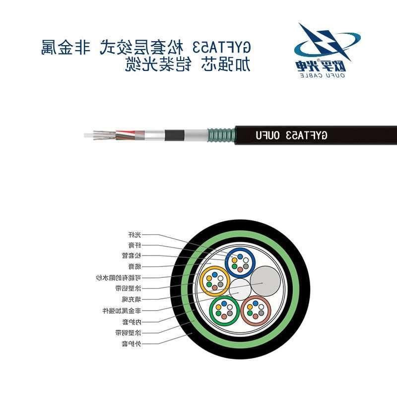 海东市GYFTA53光缆